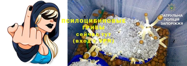 соль ск Нея